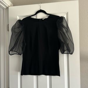 Zara Puff Sleeve Top